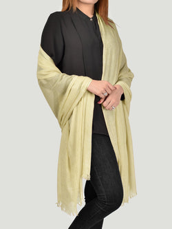 Shaded Soft Scarf