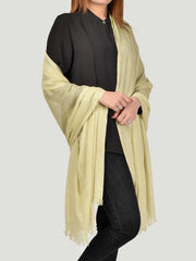 Shaded Soft Scarf